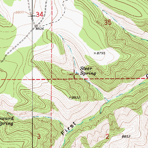 Topographic Map of Steer Spring, UT