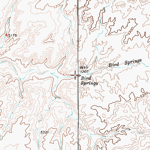 Topographic Map of Bird Springs, AZ