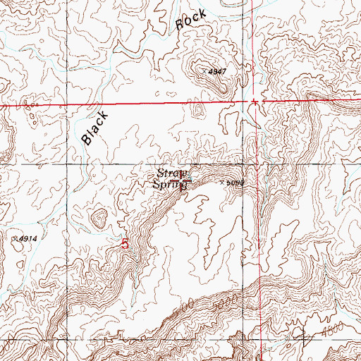 Topographic Map of Straw Spring, UT