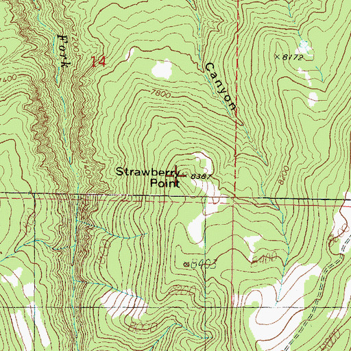 Topographic Map of Strawberry Point, UT