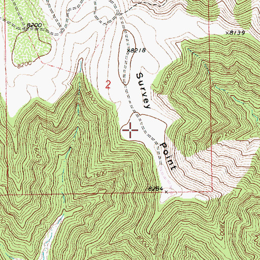 Topographic Map of Survey Point, UT