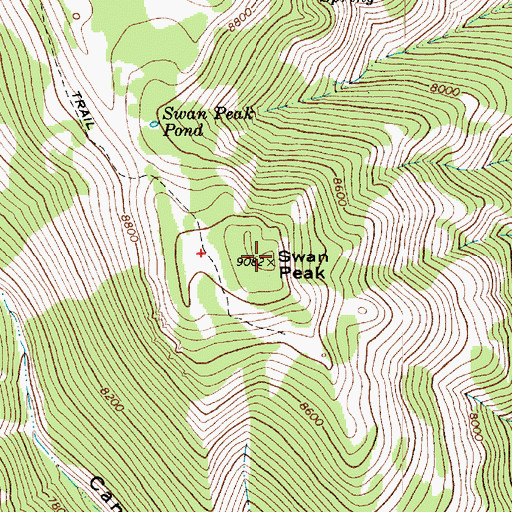 Topographic Map of Swan Peak, UT