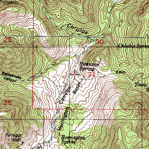 Topographic Map of Swanson Spring, UT
