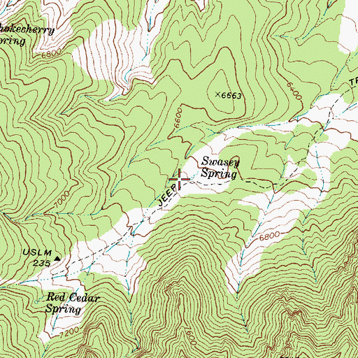 Topographic Map of Swasey Spring, UT