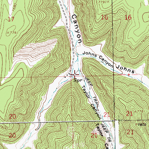 Topographic Map of Taylor Canyon, UT