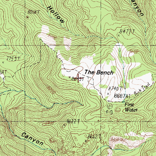 Topographic Map of The Bench, UT