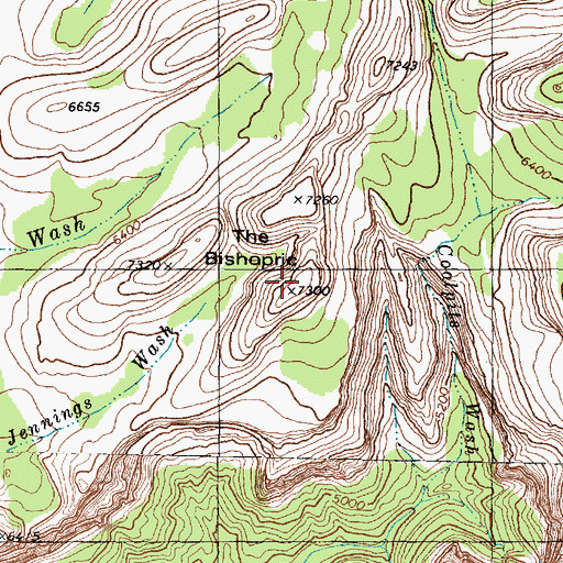 Topographic Map of The Bishopric, UT
