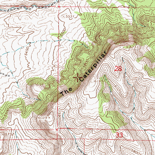 Topographic Map of The Caterpillar, UT