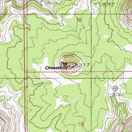 Topographic Map of The Cheesebox, UT