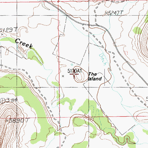 Topographic Map of The Island, UT