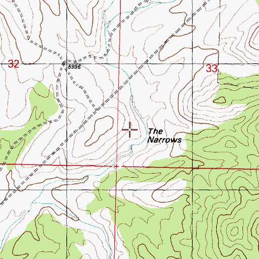 Topographic Map of The Narrows, UT
