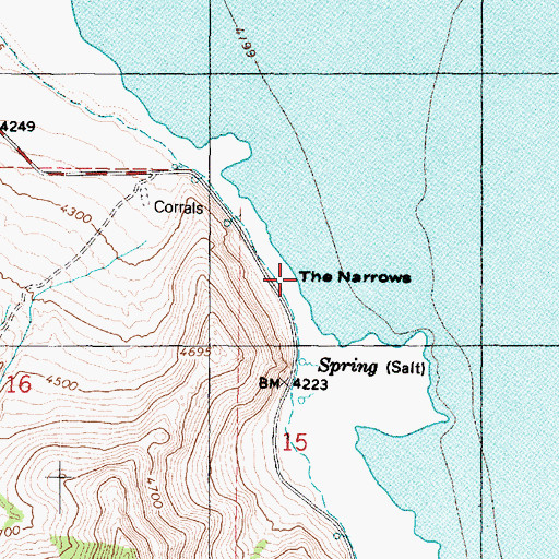 Topographic Map of The Narrows, UT