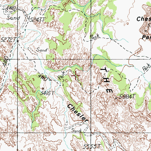 Topographic Map of The Needles, UT