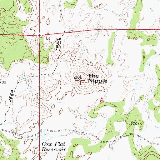 Topographic Map of The Nipple, UT
