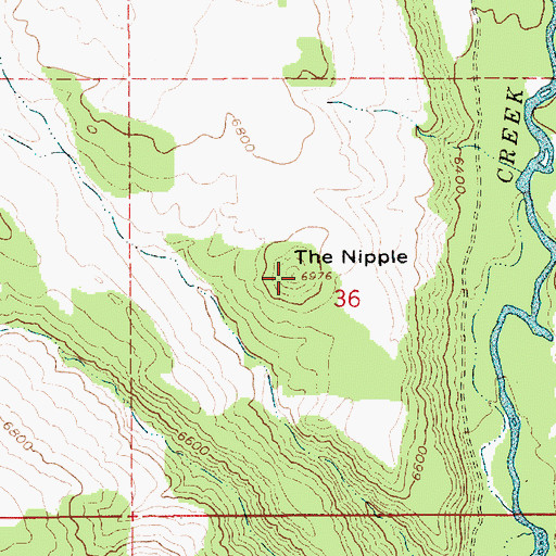 Topographic Map of The Nipple, UT