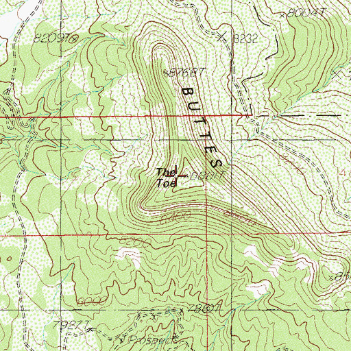Topographic Map of The Toe, UT