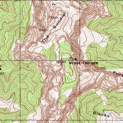 Topographic Map of The West Temple, UT