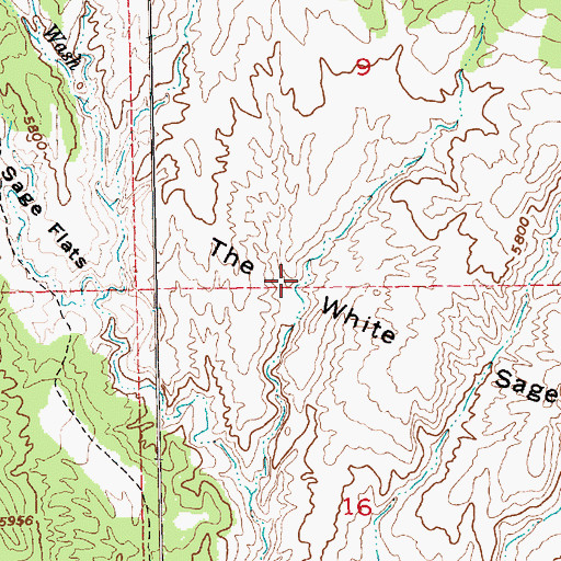 Topographic Map of The White Sage Flats, UT