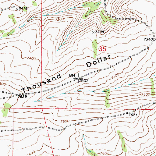 Topographic Map of Thousand Dollar Ridge, UT