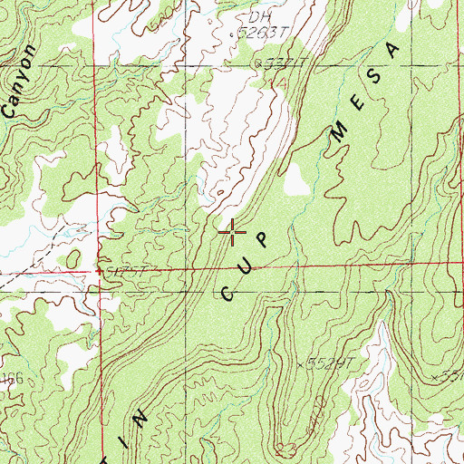 Topographic Map of Tin Cup Mesa, UT