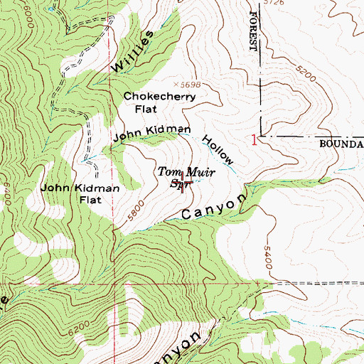 Topographic Map of Tom Muir Spring, UT