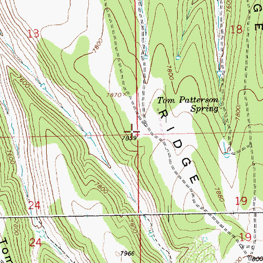 Topographic Map of Tom Patterson Ridge, UT