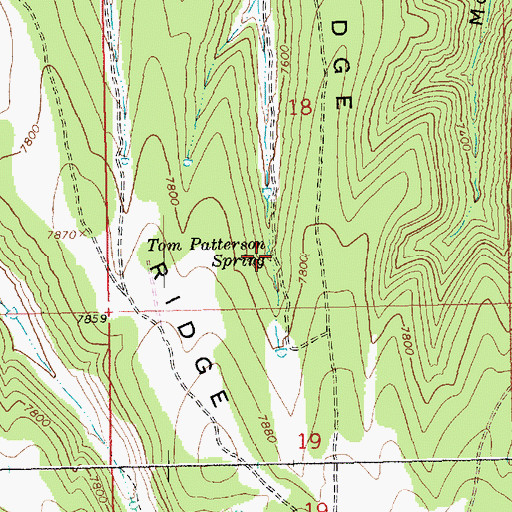 Topographic Map of Tom Patterson Spring, UT