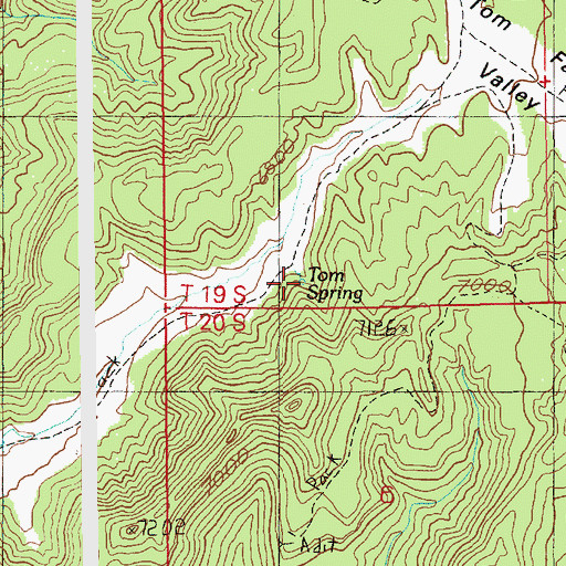 Topographic Map of Tom Spring, UT