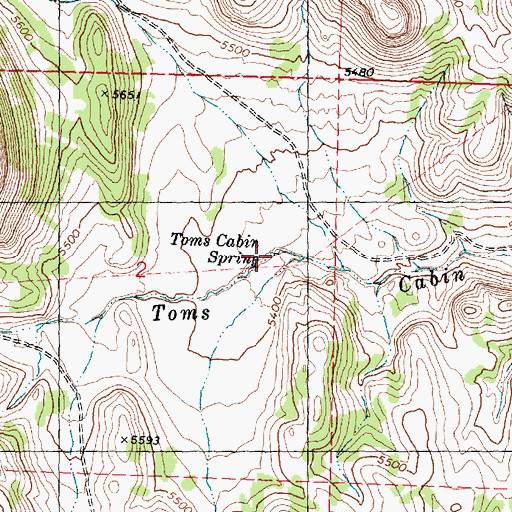 Topographic Map of Toms Cabin Spring, UT