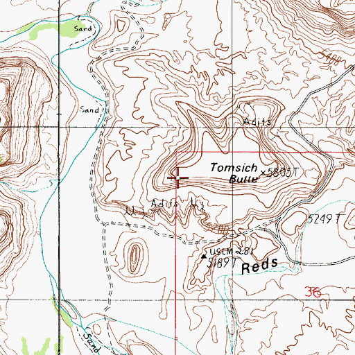 Topographic Map of Tomsich Butte, UT