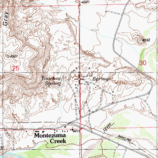 Topographic Map of Touchee Spring, UT