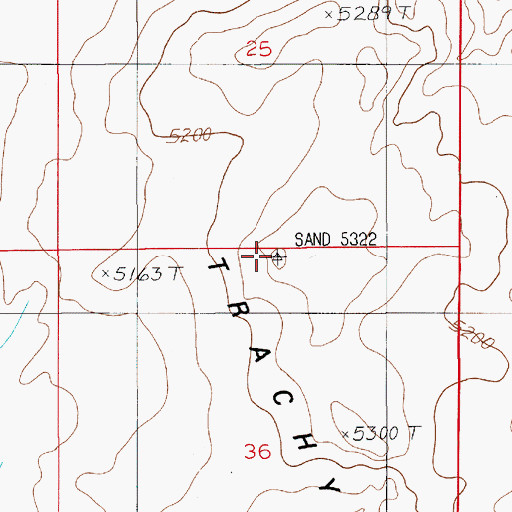 Topographic Map of Trachyte Point, UT