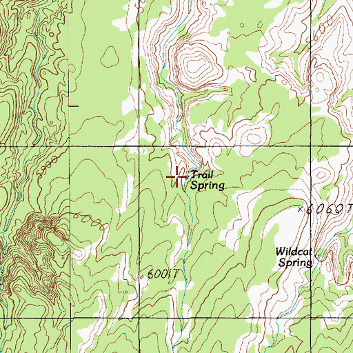 Topographic Map of Trail Spring, UT