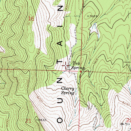 Topographic Map of Tub Spring, UT