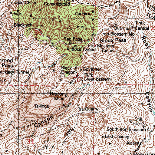 Topographic Map of Turk, UT