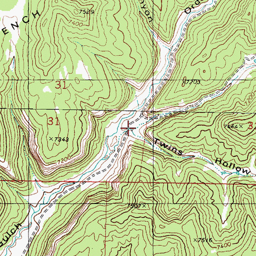 Topographic Map of Twins Hollow, UT