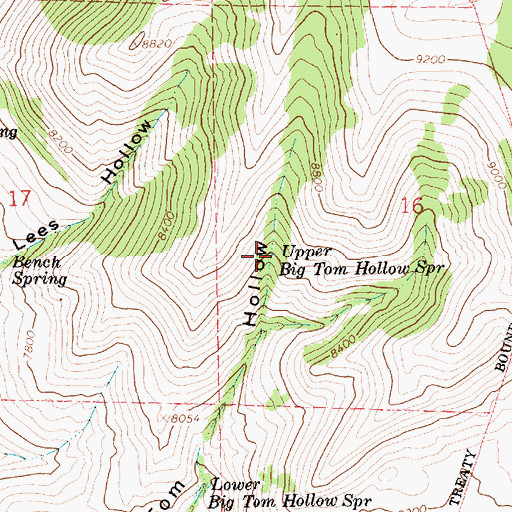 Topographic Map of Upper Big Tom Hollow Spring, UT