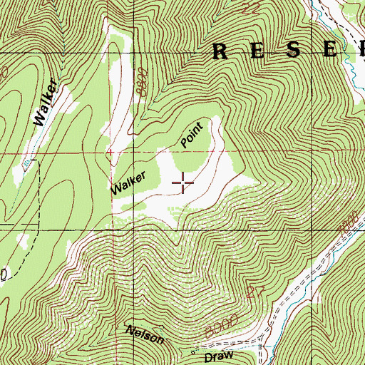 Topographic Map of Walker Point, UT