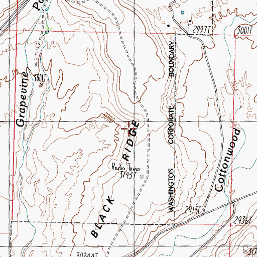 Topographic Map of Washington Black Ridge, UT