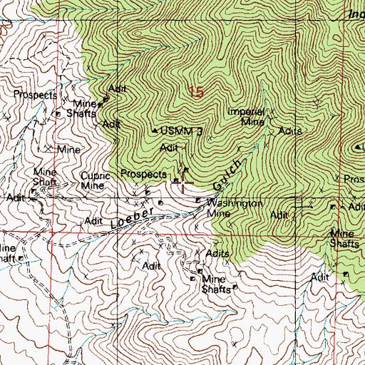 Topographic Map of Washington Mine, UT