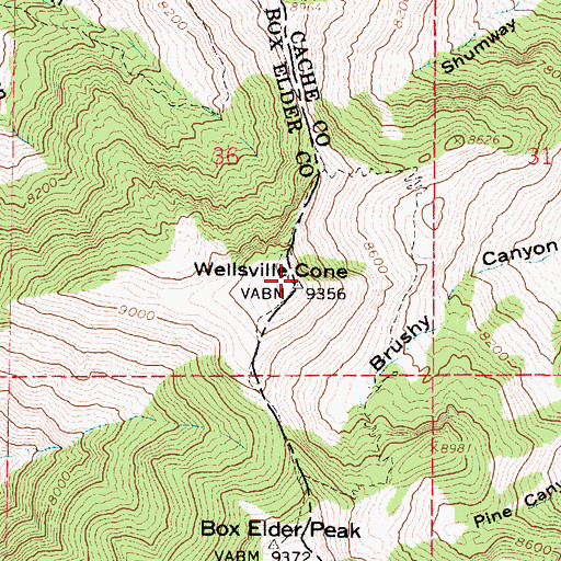 Topographic Map of Wellsville Cone, UT