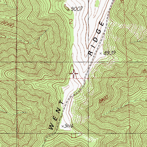 Topographic Map of Went Ridge, UT