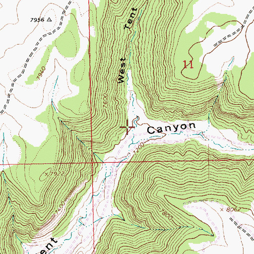 Topographic Map of West Tent Canyon, UT