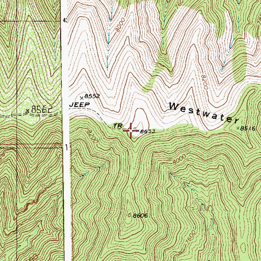 Topographic Map of Westwater Point, UT