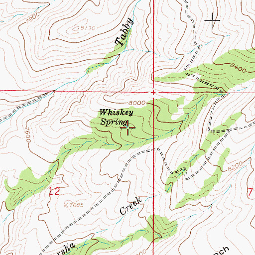 Topographic Map of Whiskey Spring, UT