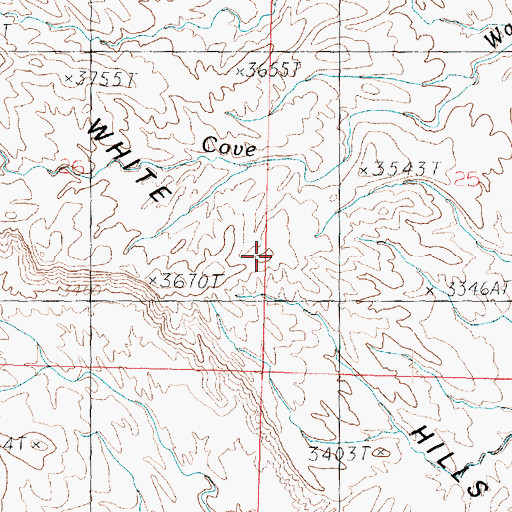 Topographic Map of White Hills, UT