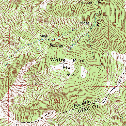 Topographic Map of White Pine Flat, UT
