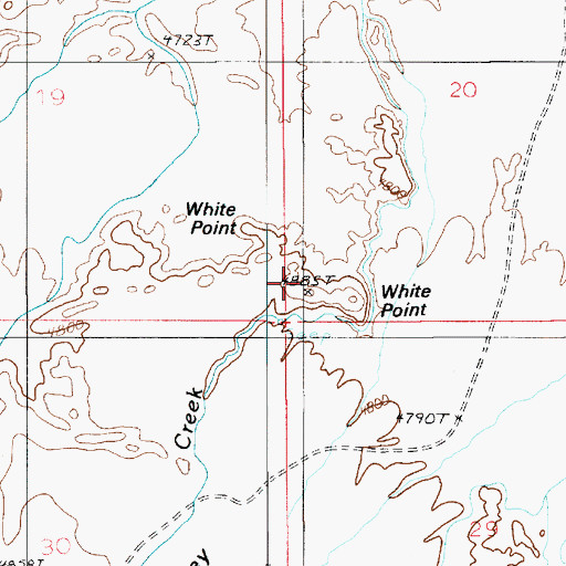 Topographic Map of White Point, UT