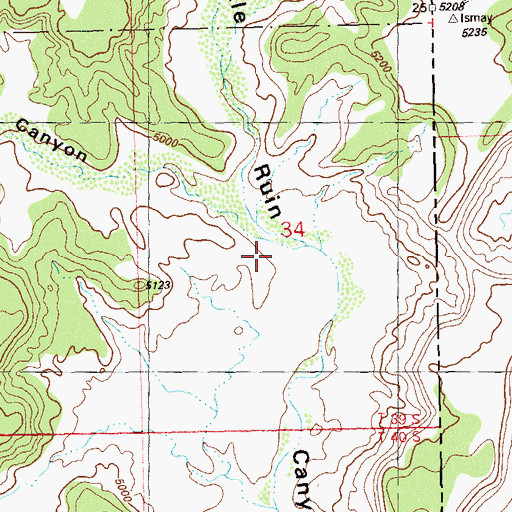 Topographic Map of Wickiup Canyon, UT
