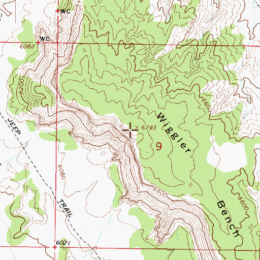 Topographic Map of Wiggler Bench, UT